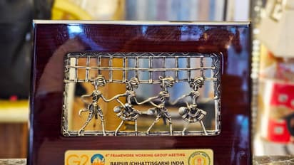 Chhattisgarh G20 framework working group meet