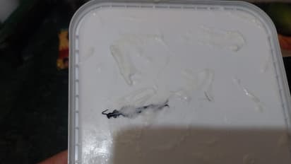 viral video Frozen insect in Amul ice cream ordered online watch horrifying video bsm