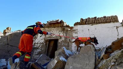 Bhutan Hit by 3 9 Magnitude Earthquake in Active Seismic Zone