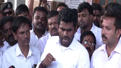 BJP leader K Annamalai (Photo/ANI) 