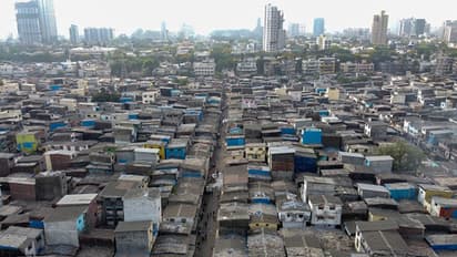Corona Dharavi, Corona Death Rate, Corona India, Corona Dharavi Death Rate, Corona Death, Corona Epidemic, Maharashtra Corona, Gujarat Corona, Rajasthan Corona, Madhya Pradesh Corona, Delhi Corona, Corona Latest News, Corona News Update, Corona Death The graph