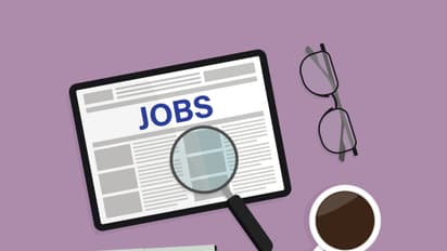 IBPS Clerk Recruitment 2024