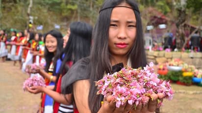cherry blossom festival india