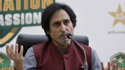 ramiz raja