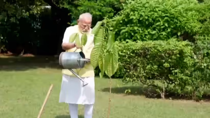 PM Modi Plants King Charles Gifted Kadamb Sapling Birthday