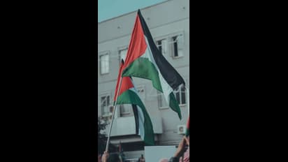 palestine flag