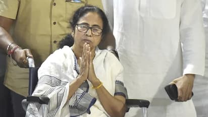 Mamata