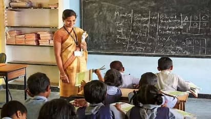 primary school teacher