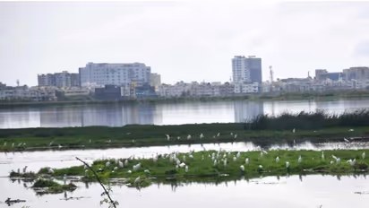 Pallikaranai Marshland