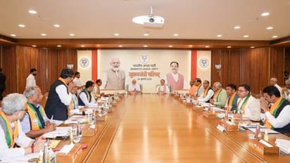 BJP Meeting PM modi hold meeting with CM