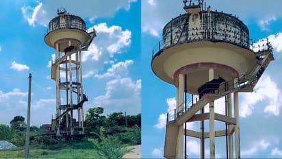 cow climbs 60 foot water tank in Ajmer