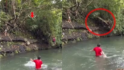 Python attack viral video