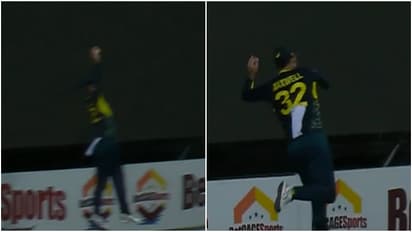Glenn Maxwell Catch
