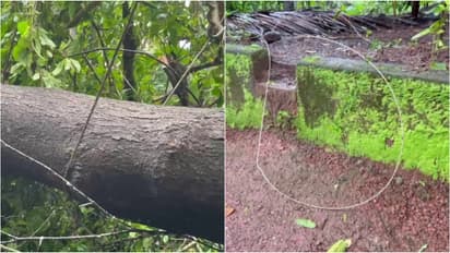 vadakara shock death 