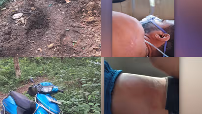 Wild elephant attack