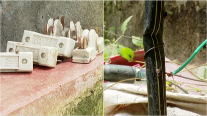 Illegal electric trap death