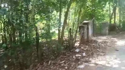 cochin devaswom board