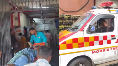 elephant attack in Idukki