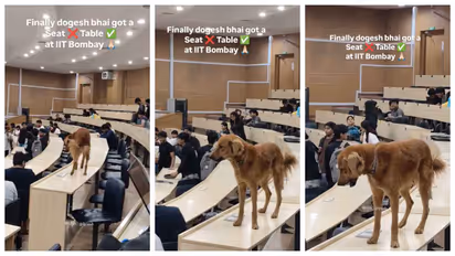Dog in Class room
