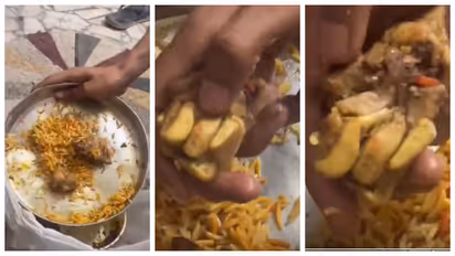 dog's Leg in Biriyani