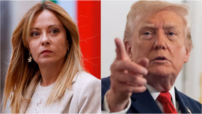 Meloni trump