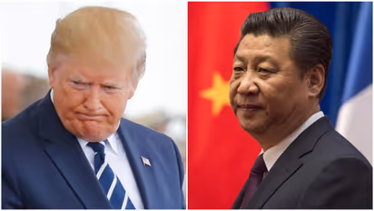 xi jinping trump