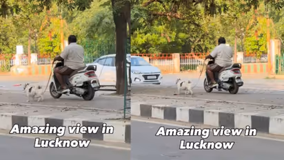 viral video