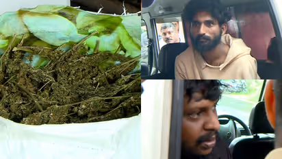 ganja arrest