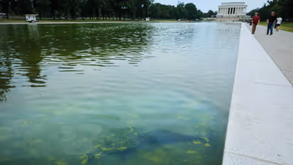 Blue Paint Begins To Peel Off Lincoln Memorial Reflecting Pool