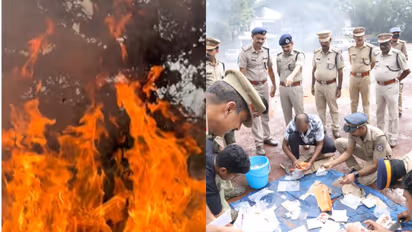 kozhikode police ganja mdma