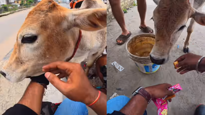 viral video