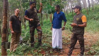 karuvarakundu kerala estate tiger