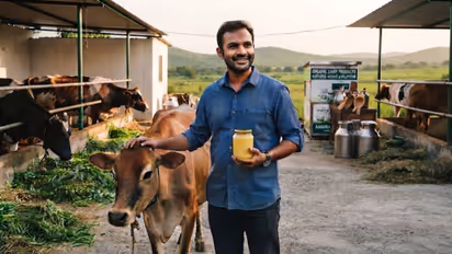 dairy business