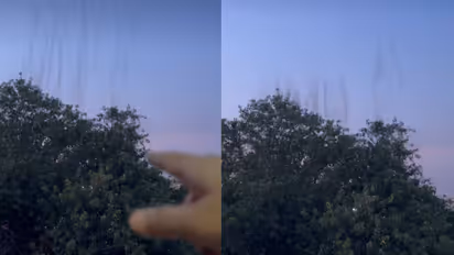 viral video