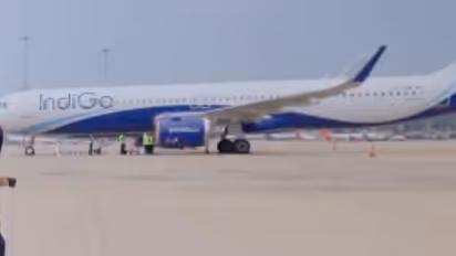 indigo flight