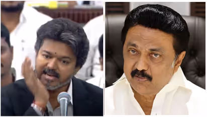 M K Stalin Against Vijay