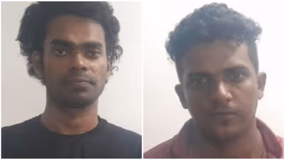 mdma arrest