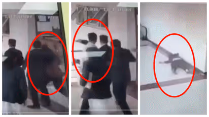 dehradun family court woman fall