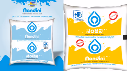 nandini milk