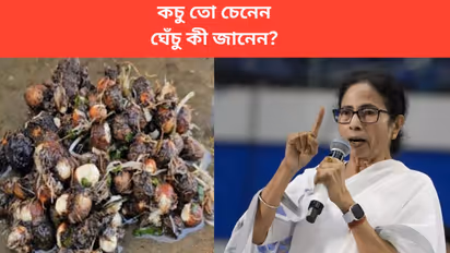 know what is ghechu said by cm mamata banerjee