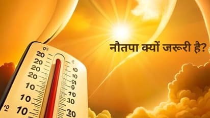 Nautapa 2025 significance