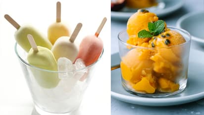 Fruit Sorbet Ideas 7 Refreshing Fresh Recipe