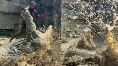 मगरमच्छ ने शख्स पर किया हमला