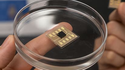 Memory Device Dissolves In Water