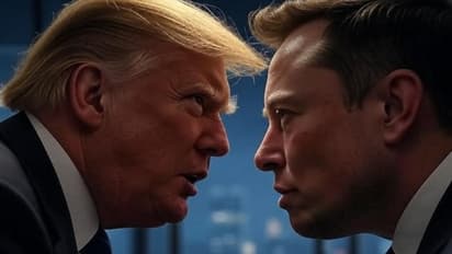 Donald trump and Elon Musk