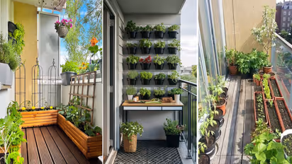Balcony Container Gardening