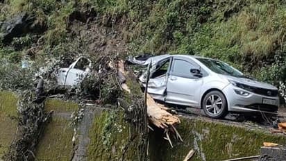 शिमला में तेज बारिश के कारण कई जगह पेड़ गिरे