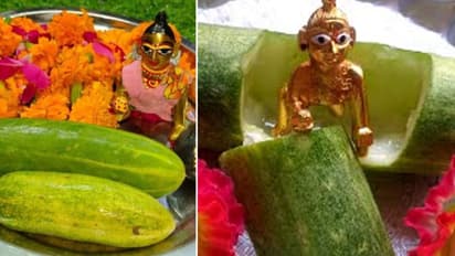 How Cucumber Ritual Performed On Janmashtami and What is the significance
