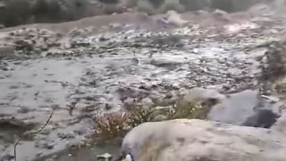 Cloudburst In Himachal