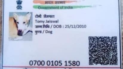 Gwalior Dog Aadhaar Card Viral News